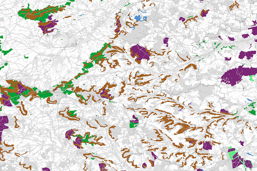Kartenausschnitt mit verschiedenen Flächenarten in Graustufen sowie Hervorhebung verschiedener Wälder.