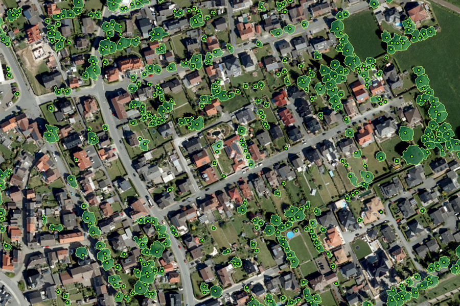 Dicht besiedeltes Wohngebiet mit zahlreichen erkannten Baumstandorten