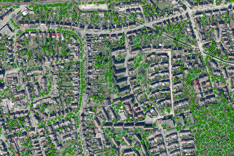 Luftaufnahme eines Mischgebiets mit farblich markierten Baumstandorten