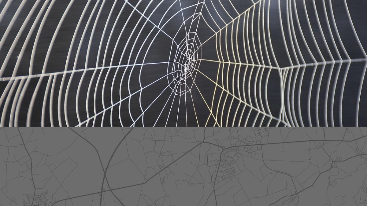 Makroaufnahme eines symmetrischen Spinnennetzes mit feinen Fäden, darunter eine Straßenkarte