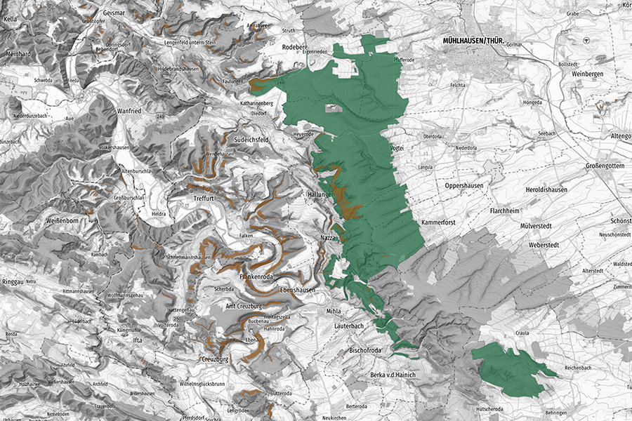 Karte mit Waldfunktionen, dargestellt durch grün und braun markierte Waldgebiete auf einer topographischen Hintergrundkarte mit Höhenstrukturen