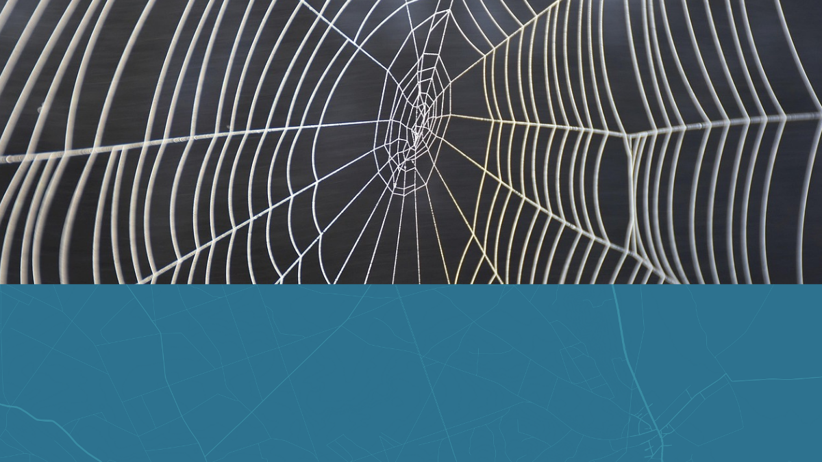 Makroaufnahme eines symmetrischen Spinnennetzes mit feinen Fäden, darunter eine Straßenkarte