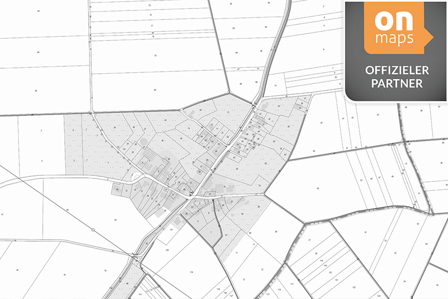 ALKIS-Kartendarstellung mit Flurstücksgrenzen und Flurnummern in schwarz-weißer Darstellung