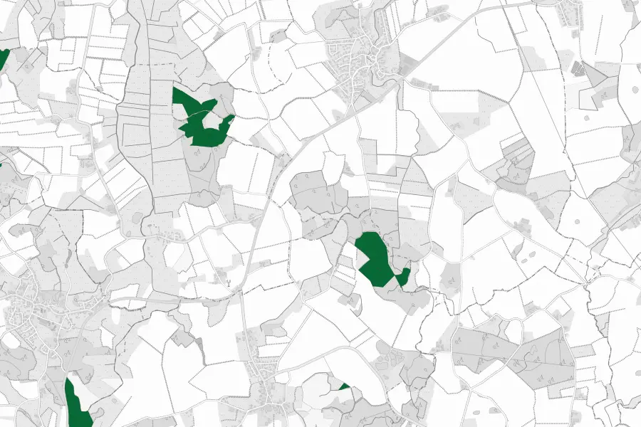 Kartenausschnitt mit verschiedenen Flächenarten in Graustufen. Grün hervorgehoben sind Naturwälder.