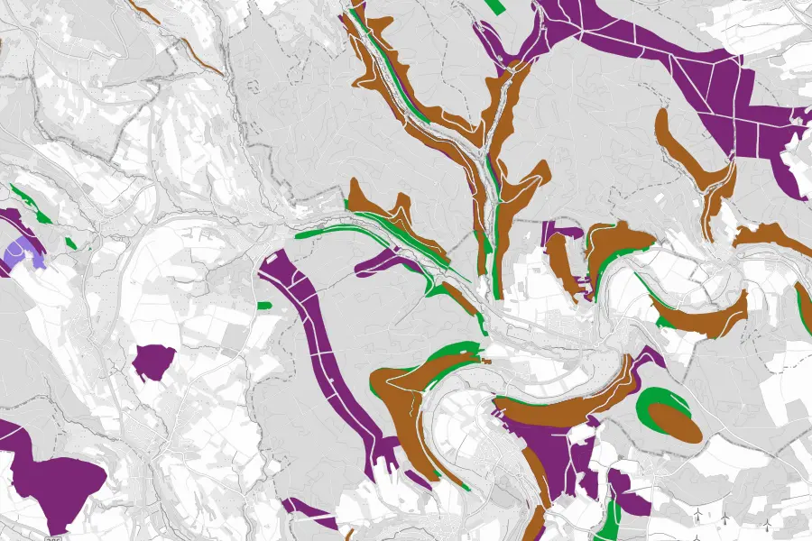 Kartenausschnitt mit verschiedenen Flächenarten in Graustufen sowie Hervorhebung verschiedener Wälder.