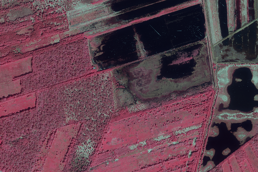 Infrarotbild eines Moors mit dunklen Wasserflächen und Vegetation