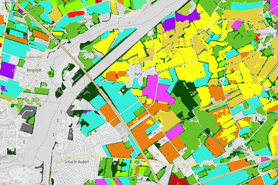 Detaillierte Darstellung der landwirtschaftlichen Nutzung im Umfeld der Rader Hochbrücke in Schleswig-Holstein mit farbcodierten Flächen für unterschiedliche Feldfrüchte.